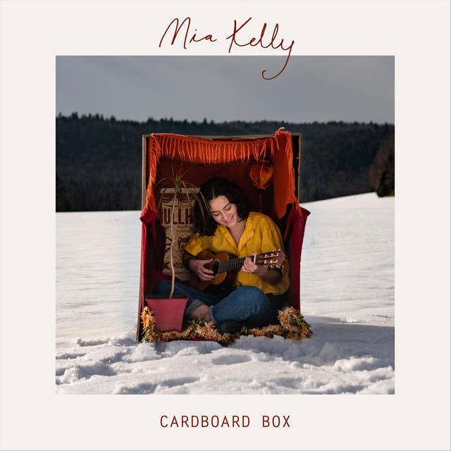 Cardboard Box