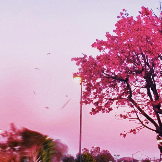 Please cover art