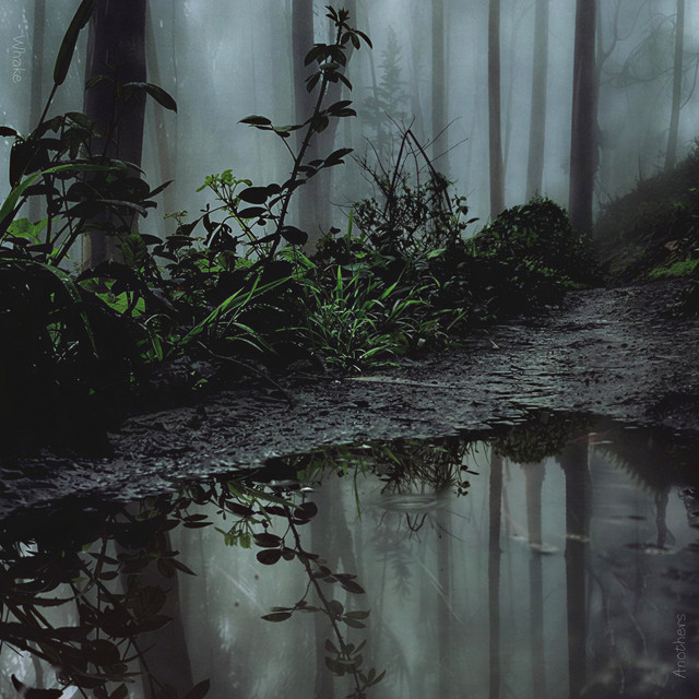 Anothers cover art