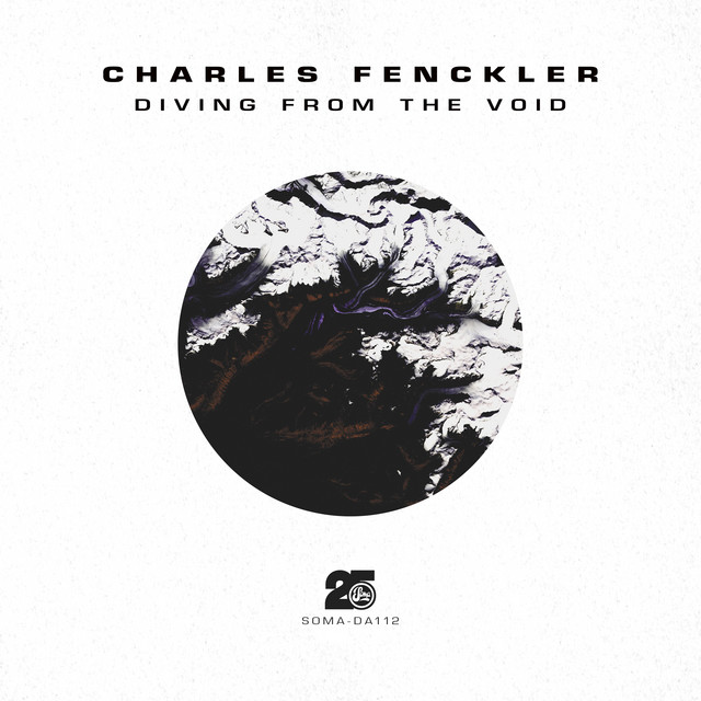 Diving from the Void cover art