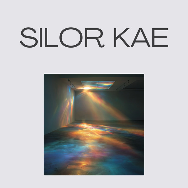 Plover cover art