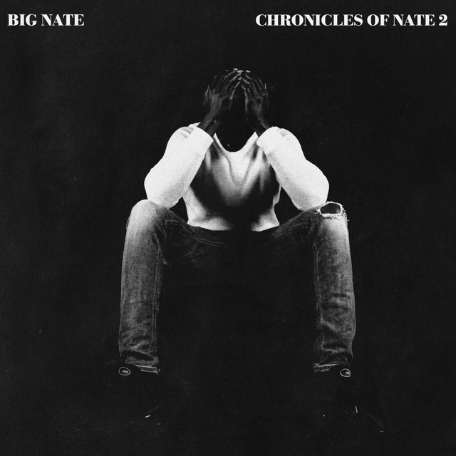 Chronicles Of Nate 2 cover art