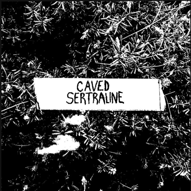 Sertraline cover art