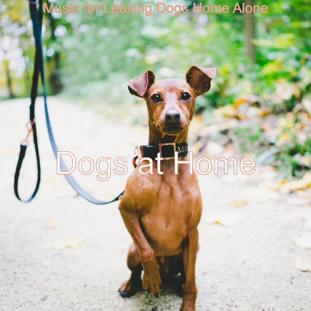 Music for Leaving Dogs Home Alone cover art