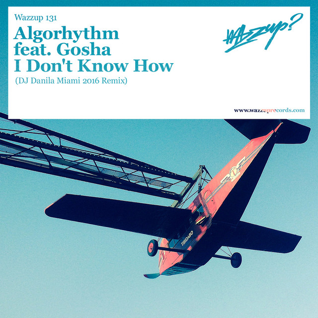 I Don't Know How cover