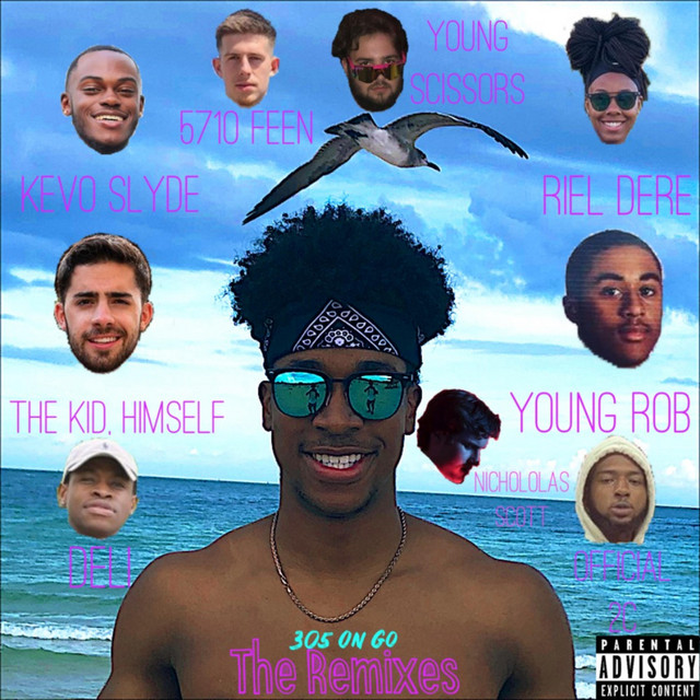 305 on Go: The Remix Album. cover art
