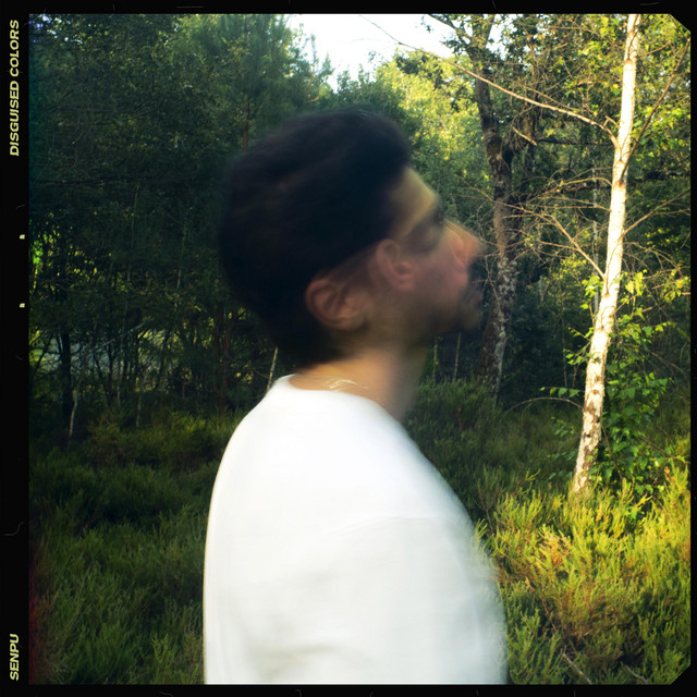 Disguised Colors cover art