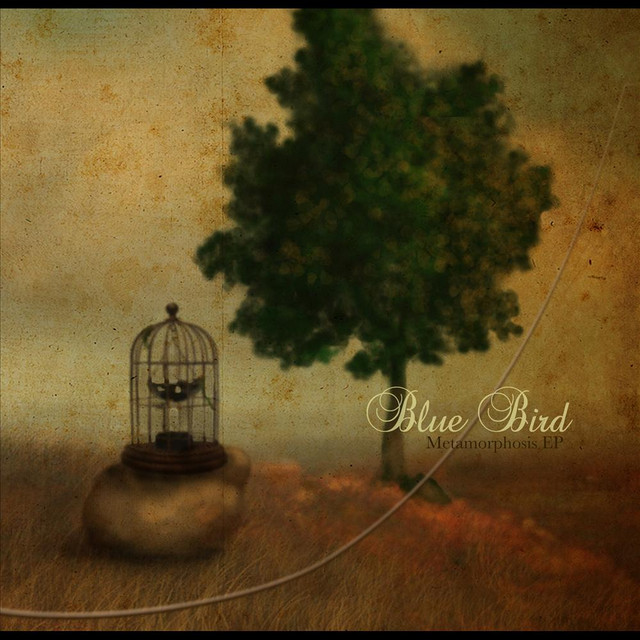 Metamorphosis - EP cover art