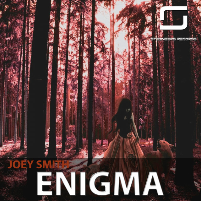 Enigma cover art