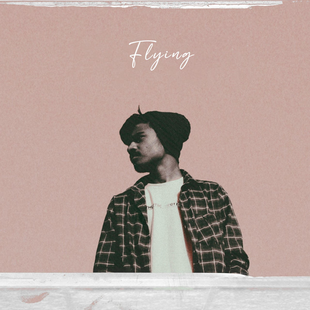 Flying cover art