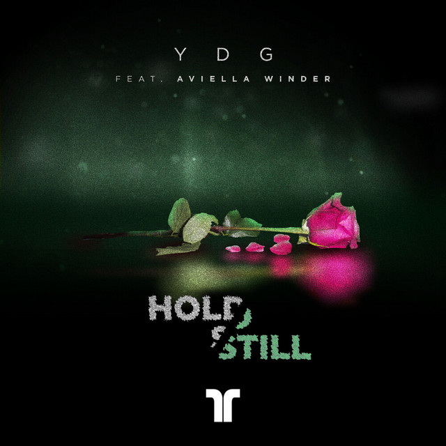 Hold Still album art