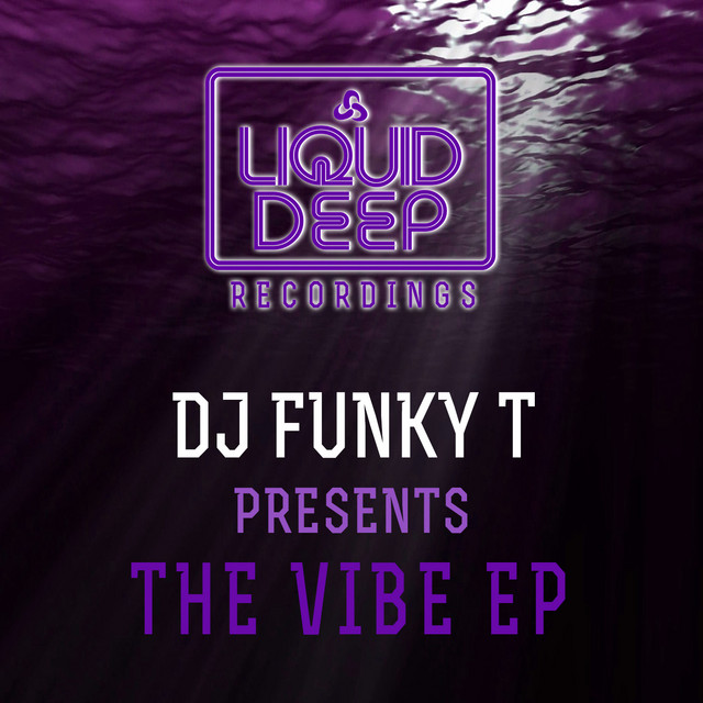 The Vibe - Original Mix cover art