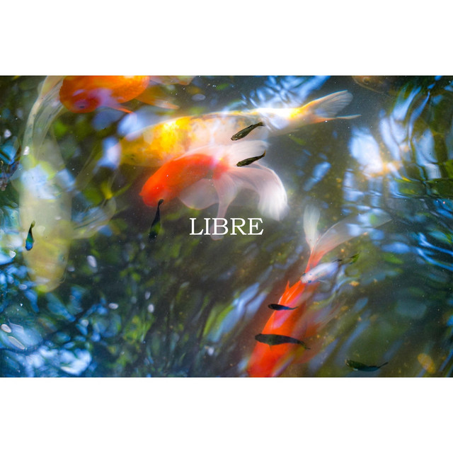 Libre cover art