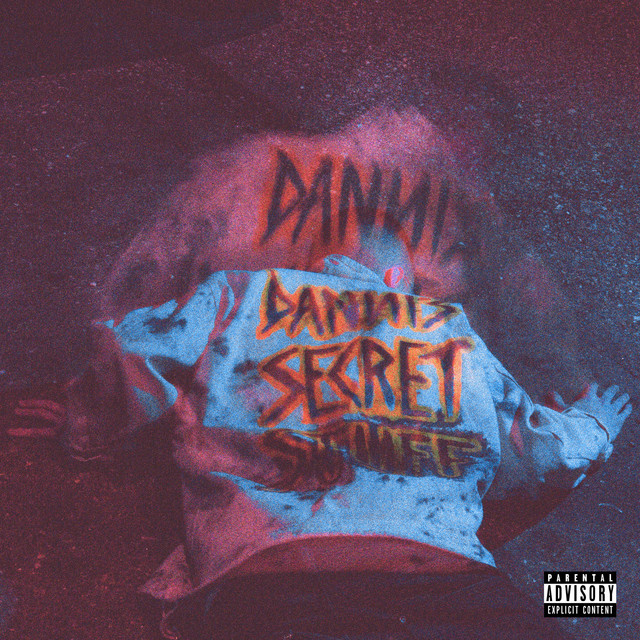 Danni´s Secret Stuff cover art