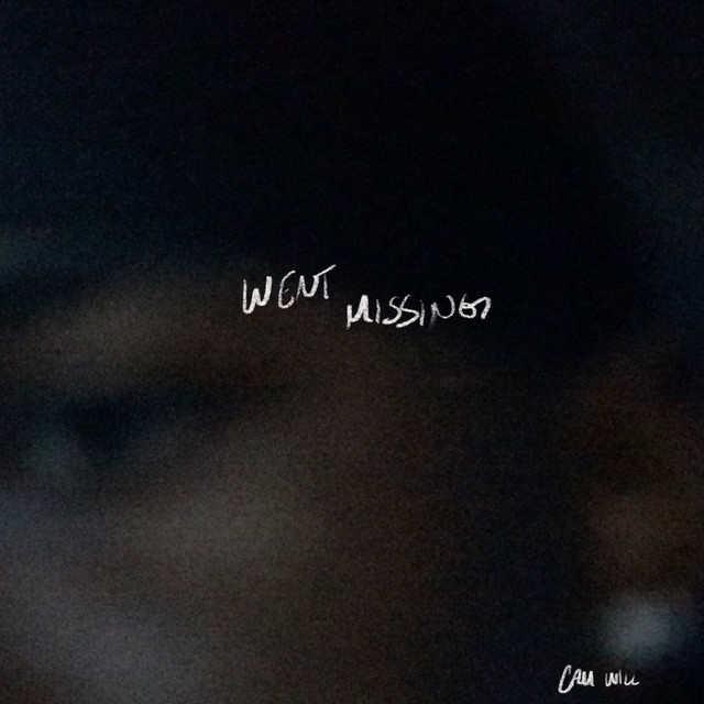 WENT MISSING cover art