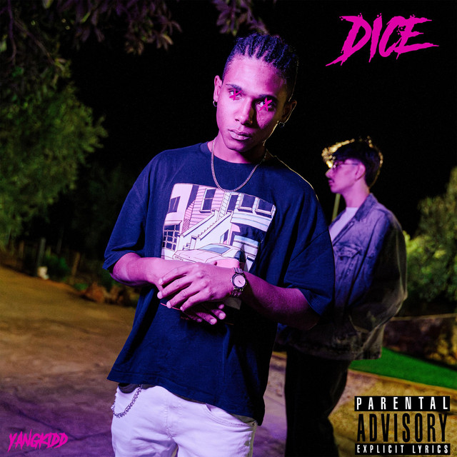 Dice cover art