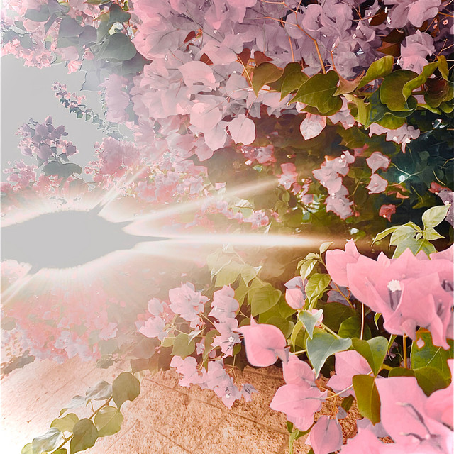 Divine! cover art