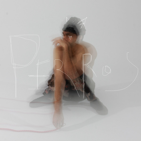 Perros cover art