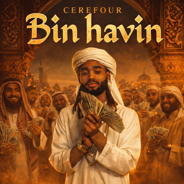 Bin Havin cover art