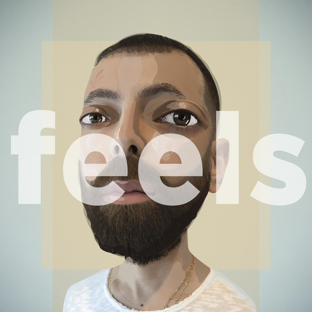 Feels cover art