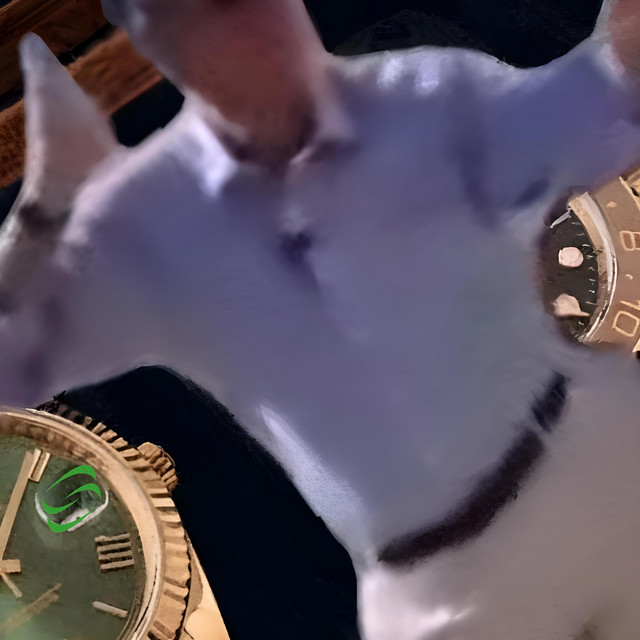 undefined album image