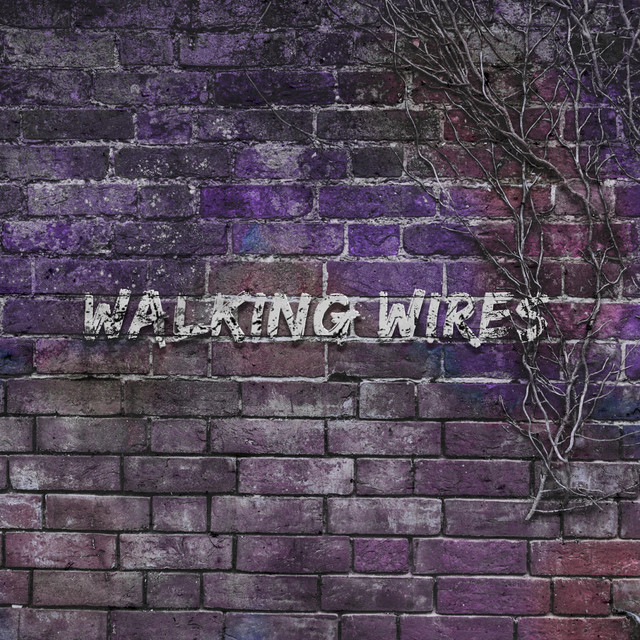 Walking Wires cover art