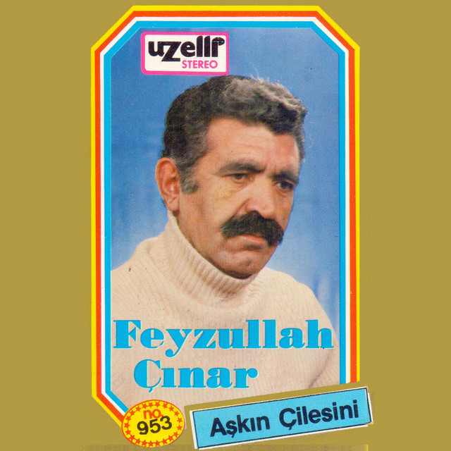 Aşkın Çilesini cover art