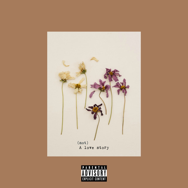 (Not) a Love Story cover art