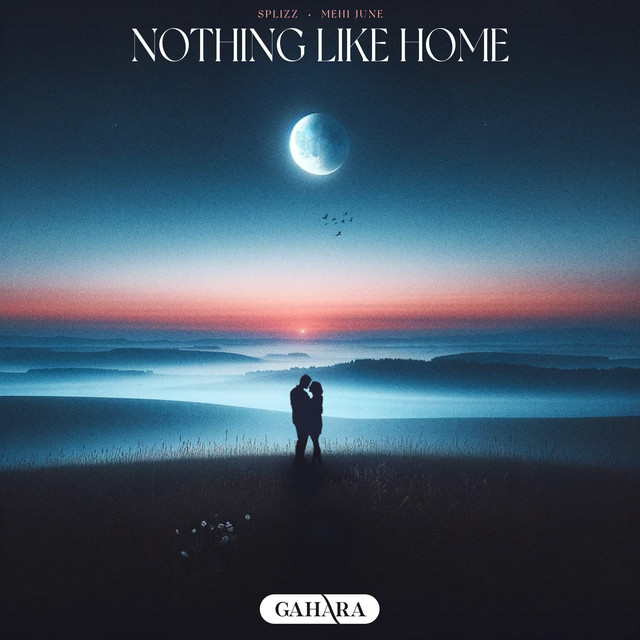 Nothing Like Home cover