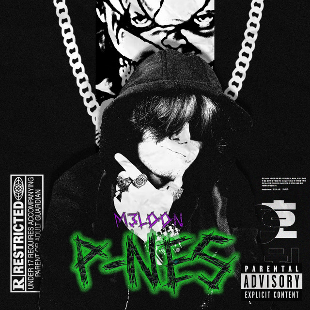 P-NES