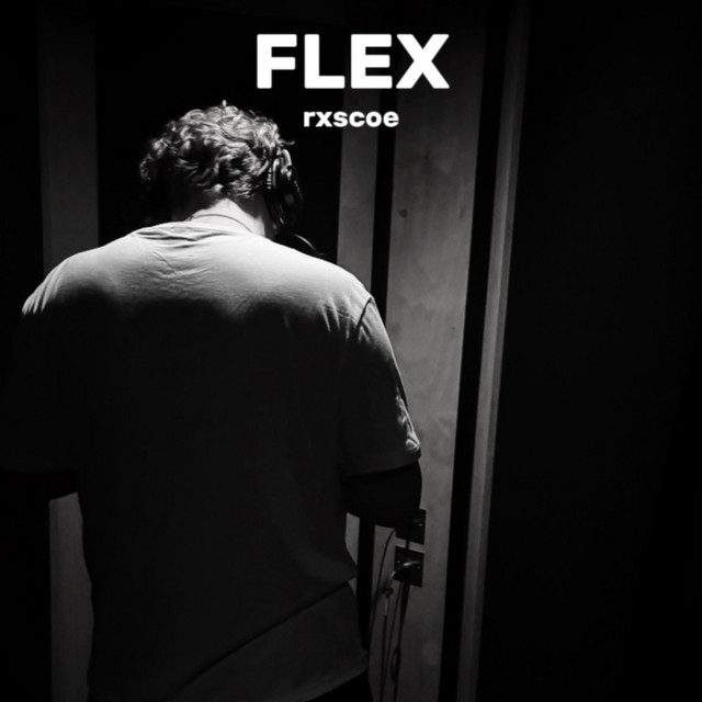 Flex cover art
