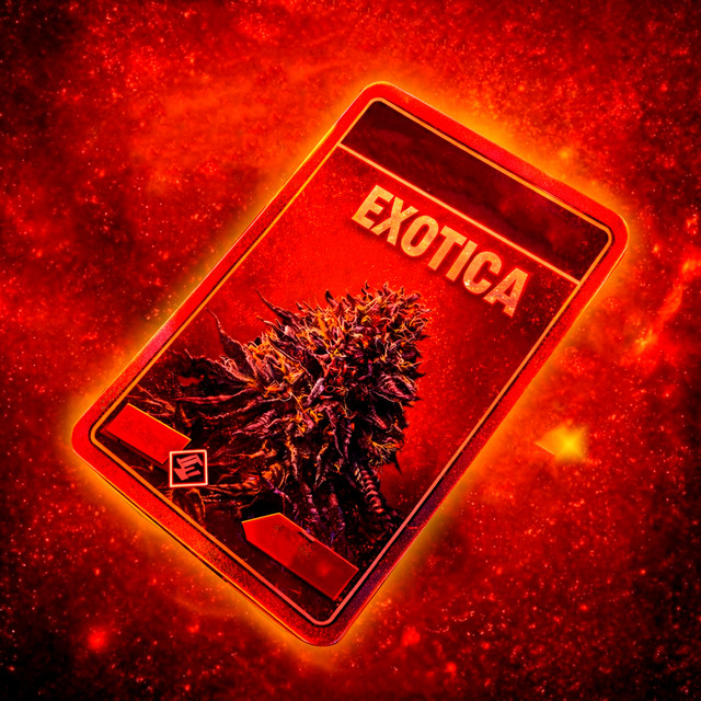 EXOTICA
