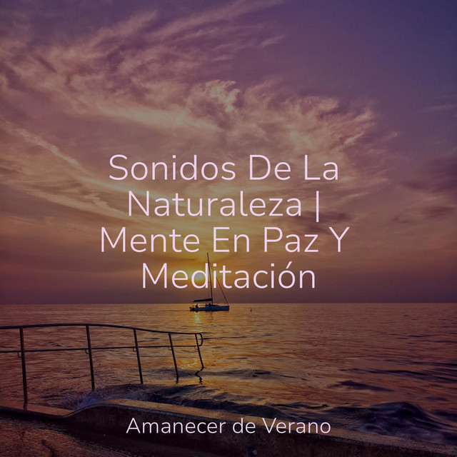 Sonidos De La Naturaleza | Mente En Paz Y Meditación - Album by Sonido ...
