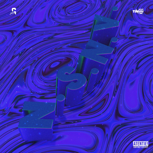 N.S.N.V. cover art