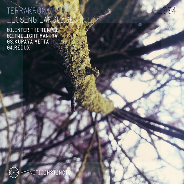 Enter The Temple - Original Mix cover art