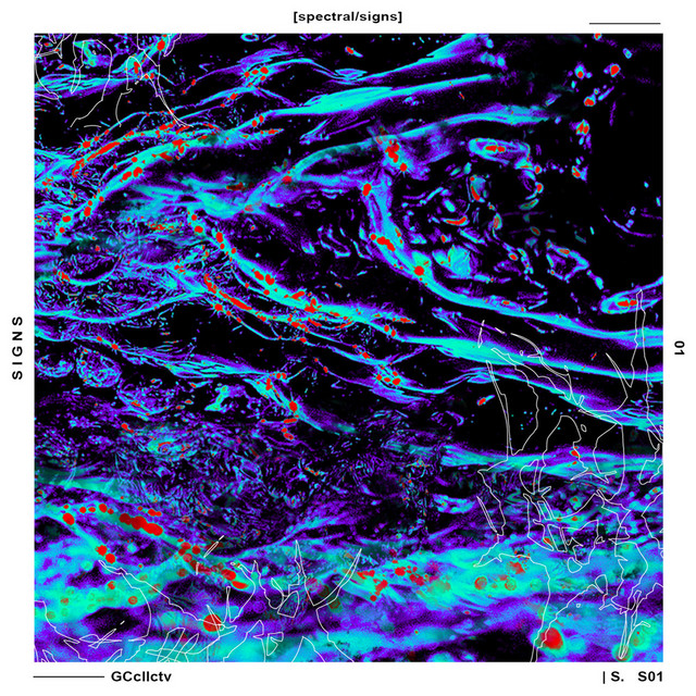 Marco Zanella