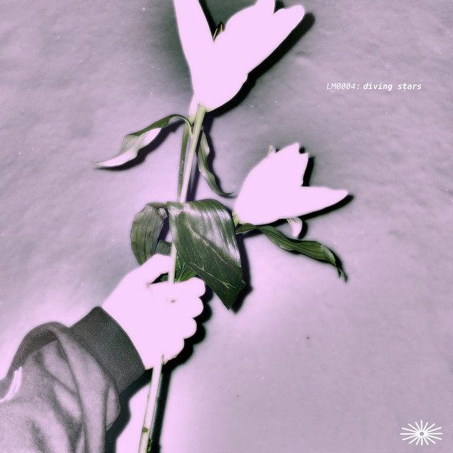 diving stars cover art