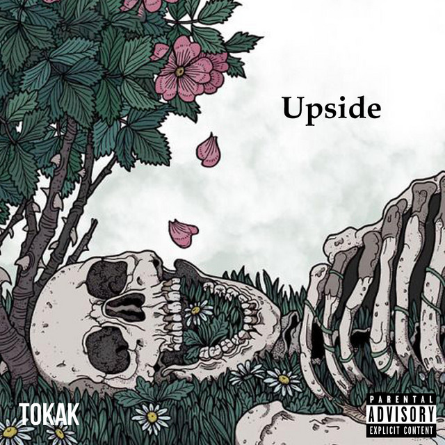 Upside cover art