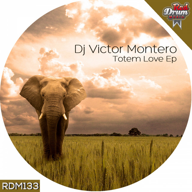 Totem Love - Original Mix cover art