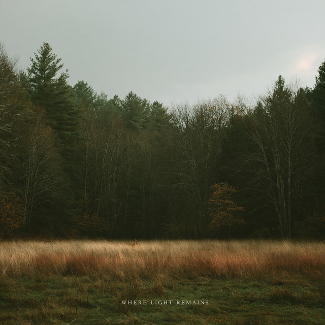 Cover of Where Light Remains by Floyd Nova