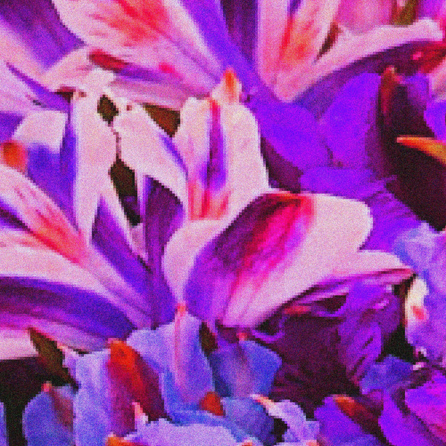 Weird spoons and flowers cover art