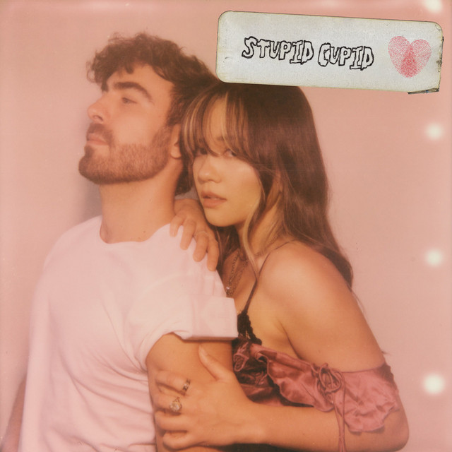 Stupid Cupid! cover