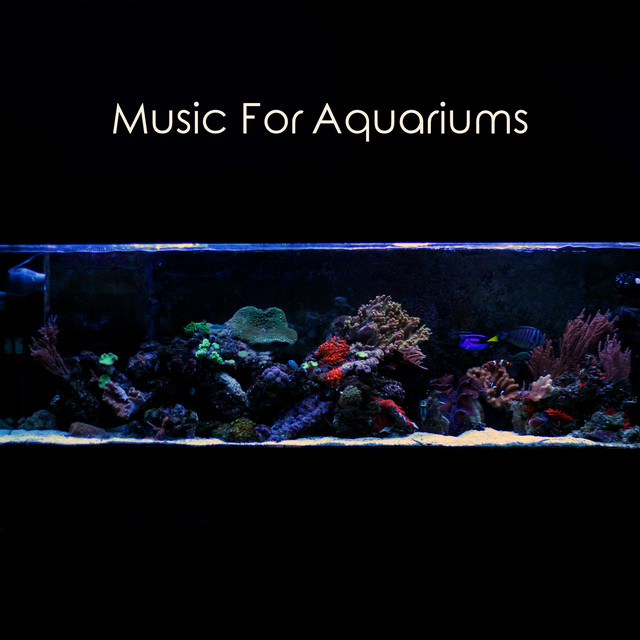 Music For Aquariums cover art
