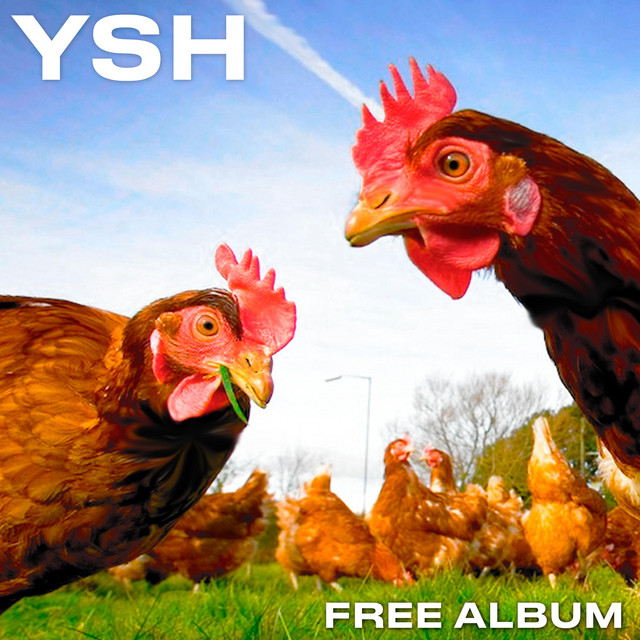 YSH Free Album cover art