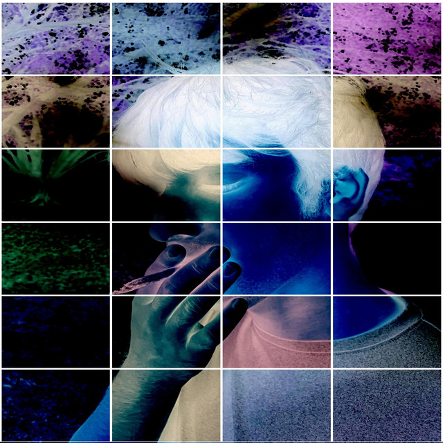 dear diary cover art