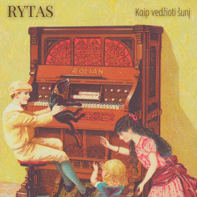 Kaip vedžioti šunį cover art