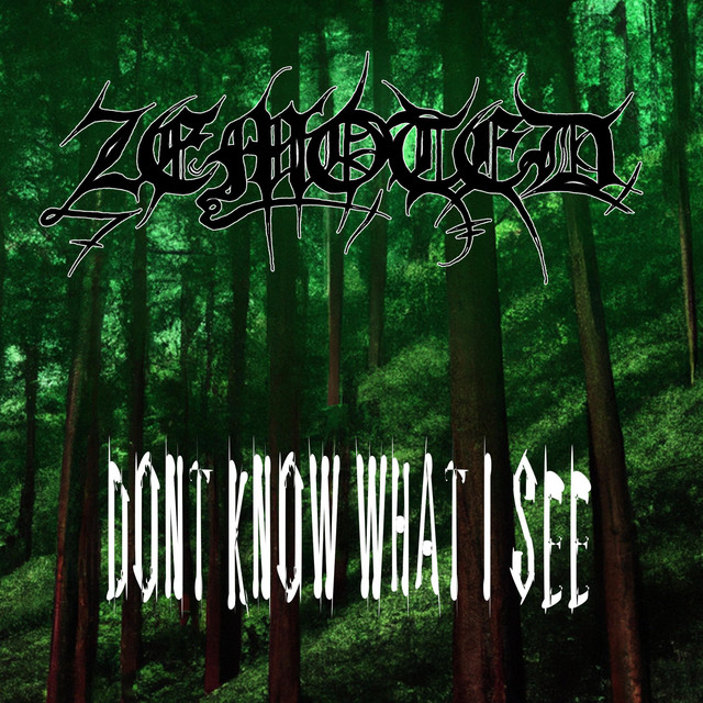 Dont know what I see cover art