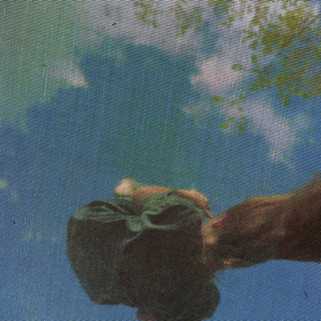 Just Like Summer album image