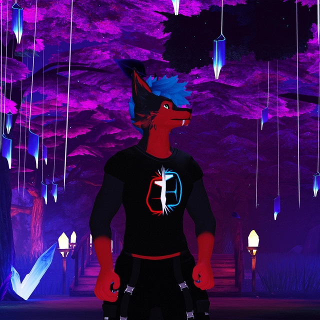 The Nights - Reimagined