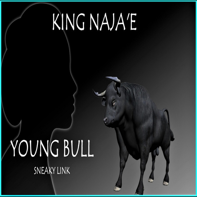 YOUNG BULL - song and lyrics by KING NAJA'E | Spotify